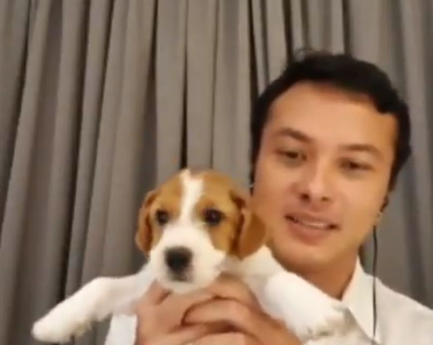 Bawa anak anjing, Nicholas Saputra jadi trending topic di Twitter