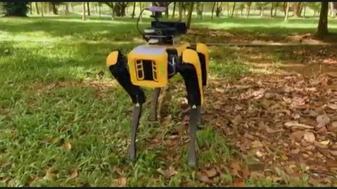 Robot patroli 'Robodog', bisa peringatkan social distancing