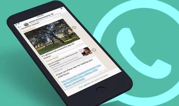 WhatsApp bakal hadirkan fitur baru di kolom chat?