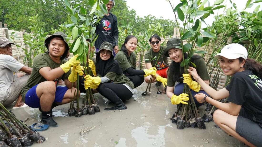 Peringati Hari Mangrove Sedunia, Sharp Lakukan Rehabilitasi Ekosistem Karbon Biru