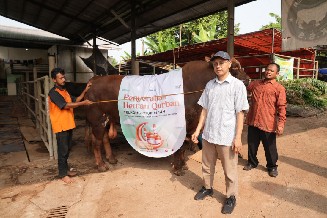 Sambut Iduladha, Telkom Distribusikan Hewan Kurban ke Seluruh Indonesia