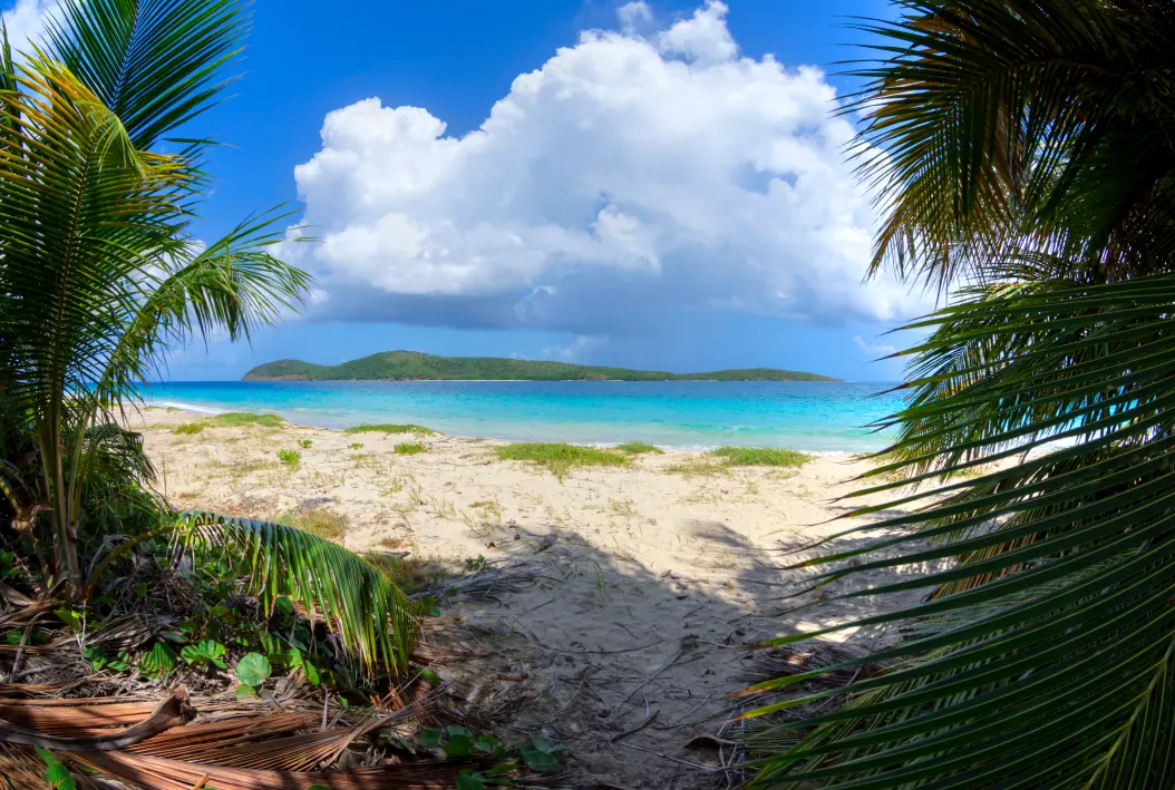Wow! Mantan Bos Google Beli Pulau Seharga Rp. 501 Miliar
